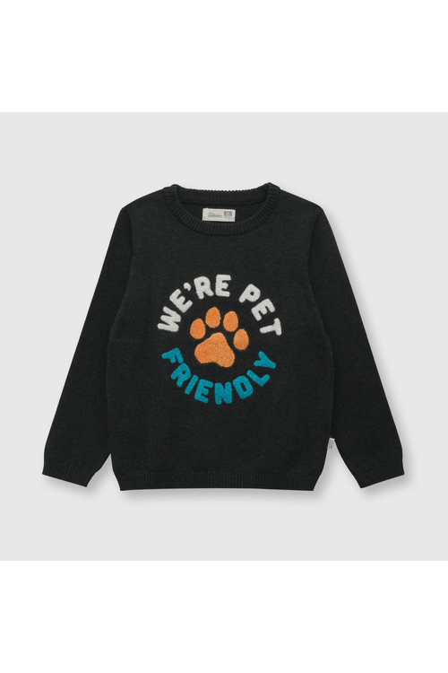 Sweater de bebe niño pet gris