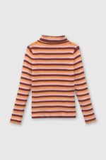 7f42a476-eddc-4b1b-8884-9ae014fdd3ba-swpy0282i24-2