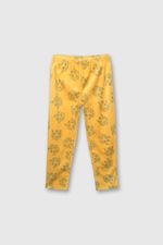 498088b0-3426-4fa3-bc76-802fbd551830-pjpf0511i24-3