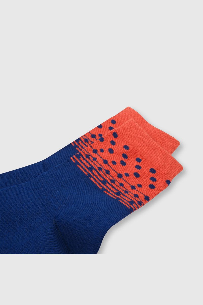 35dee58f-a370-4ee3-ba26-07d84d81c461-c3pe0950v24-2