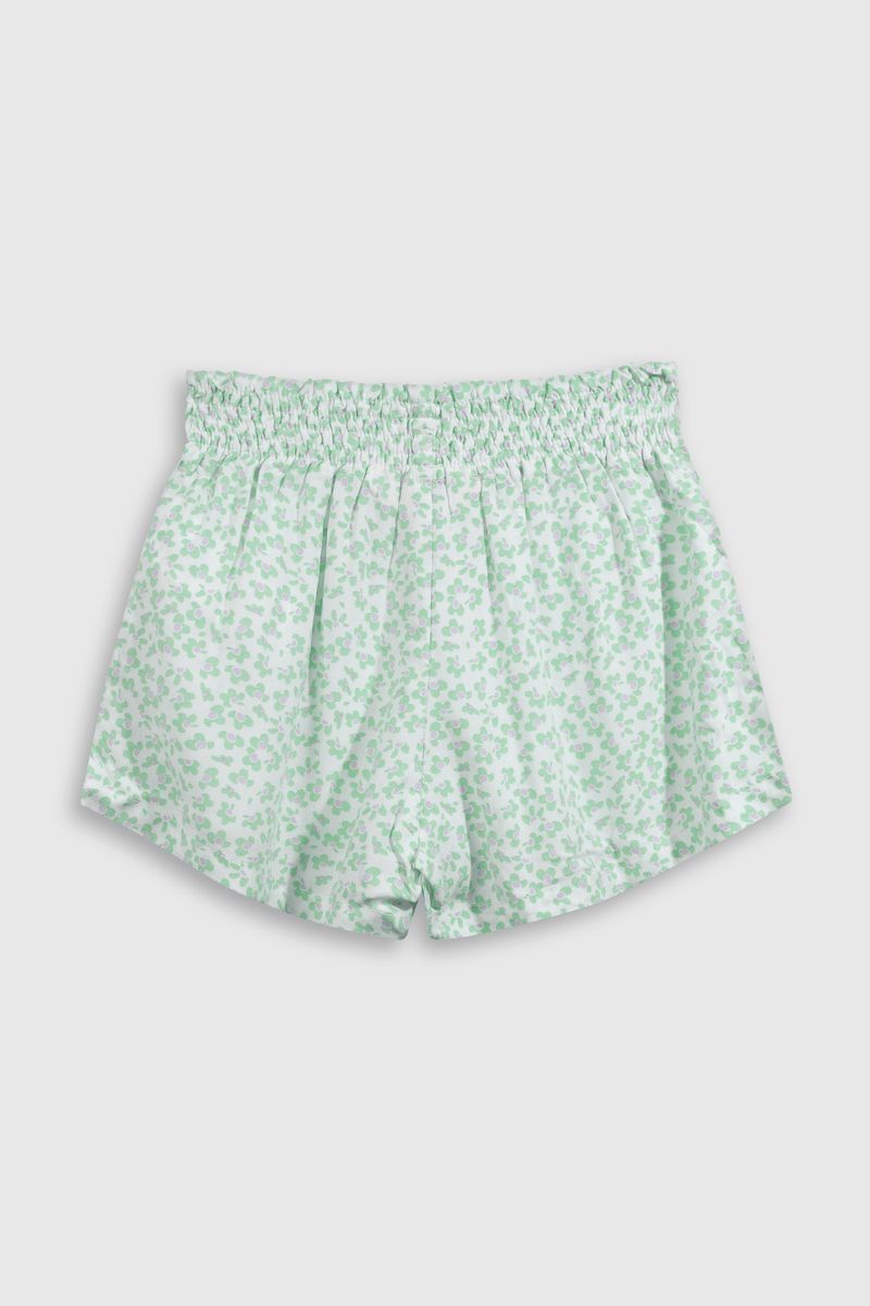 ee368899-1443-4732-9687-d0fdf39b8ef8-shvs1094v25-2