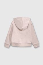 42d6a203-c200-4840-ba76-b42278ce8f66-plpo5477v25-2