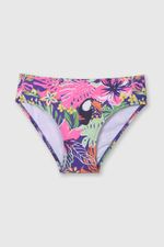 17d3dfc7-6f22-46d2-8065-cab973d4f753-bkly0284v24-3