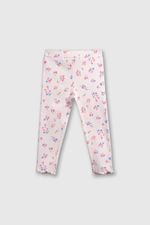 92fdb0c2-dc17-4931-9da6-fb11b4b15950-papu0477v25-1