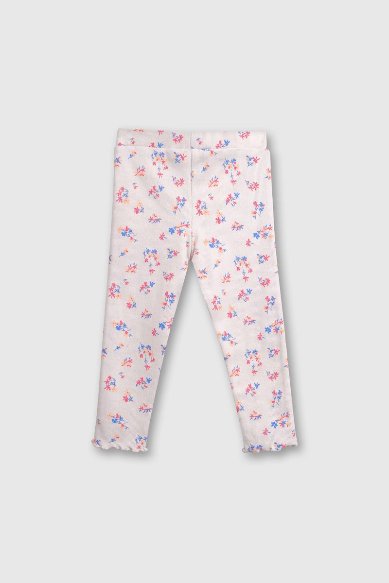 c9dba275-7c23-414f-82b2-6ce28c3b4127-papu0477v25-2