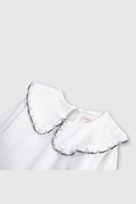 e0d8cd0b-9eac-4cb0-bd8d-11d11e97b1b8-plpo2009v25-3