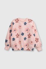 e113e153-be40-428a-93f8-bfd8377f80ba-plpo1630v25-1