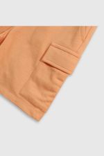 72d4fa81-dd5b-41f9-afd3-fbf2e6b42073-bdpo1747v25-3