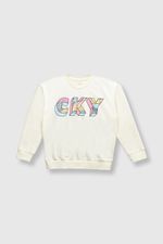 ae7fe02c-07be-48f3-9422-2849ee3d40fd-plpo4910v24-1