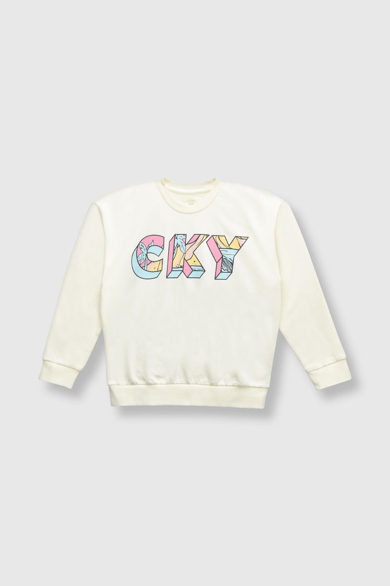 ae7fe02c-07be-48f3-9422-2849ee3d40fd-plpo4910v24-1