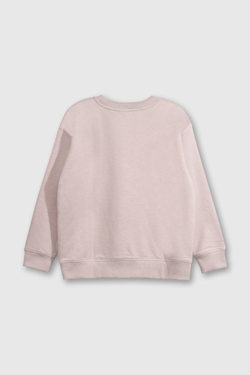 476db597-22e0-4579-b1fa-924bb852d721-plpo3177v25-2