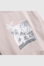 d1cf4274-883f-4a72-9ea9-8e6c4971374b-plpo3177v25-3