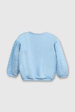 1e6a459b-e633-4383-a608-008ad9f5533c-plpo3440v25-2