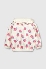 9c4a37bb-2b42-41f0-bc6c-f3f32ee2cf2e-plpo4410i24-1