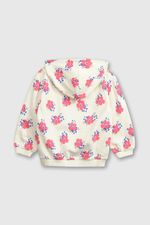 9b8c3cb0-6076-492a-adb0-0ea8b19c0076-plpo4410i24-2