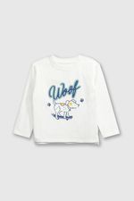 4915dc96-5b3c-4cf1-b111-e25978f0ee61-poje2710i24-1