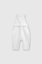 02624b29-4889-4d82-ad73-a1b0b68a9f6d-jlpqu109v25-2