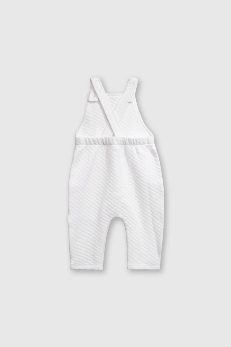 02624b29-4889-4d82-ad73-a1b0b68a9f6d-jlpqu109v25-2