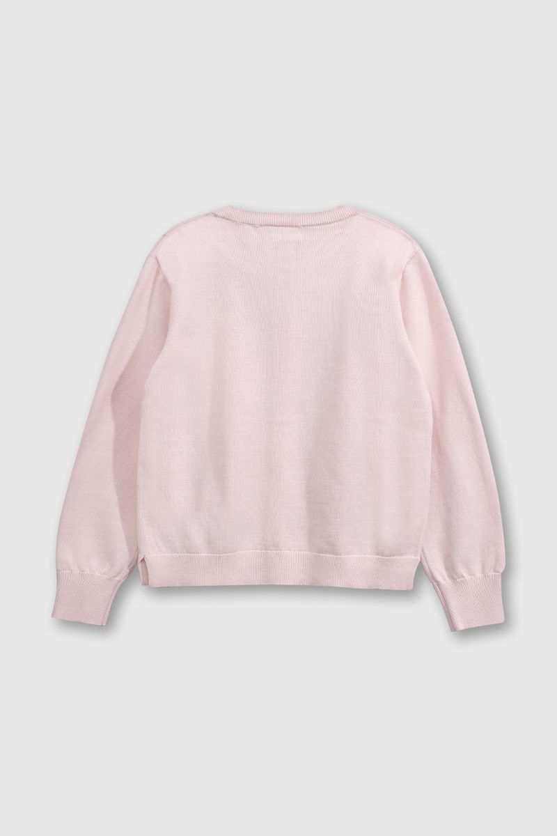 36eedbdb-515f-4e05-b5a8-348b3173850d-chla0430v25-2