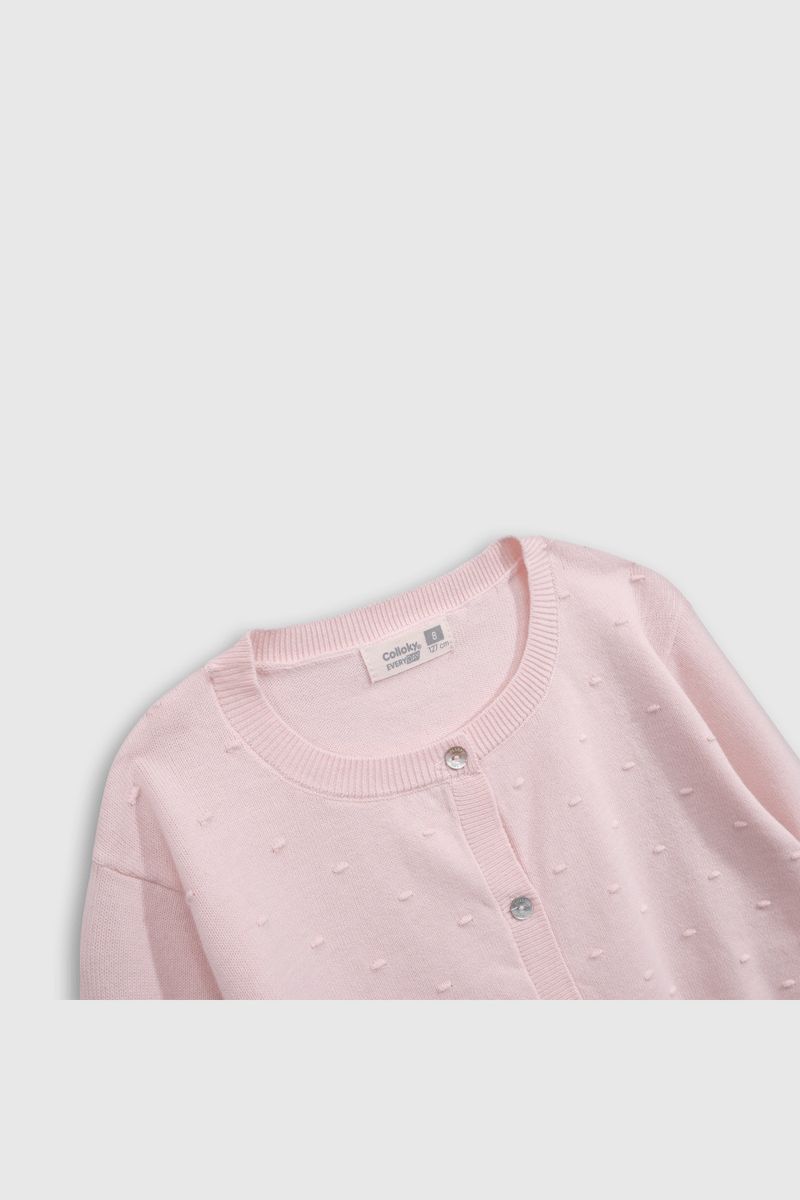 95b899fe-817e-4a9e-9023-bb8e1c7626e4-chla0430v25-3