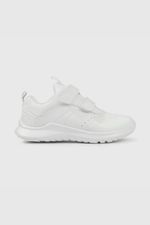 2f55d25f-2908-4a43-ab01-b7d5ceee3a00-77070210i25-2