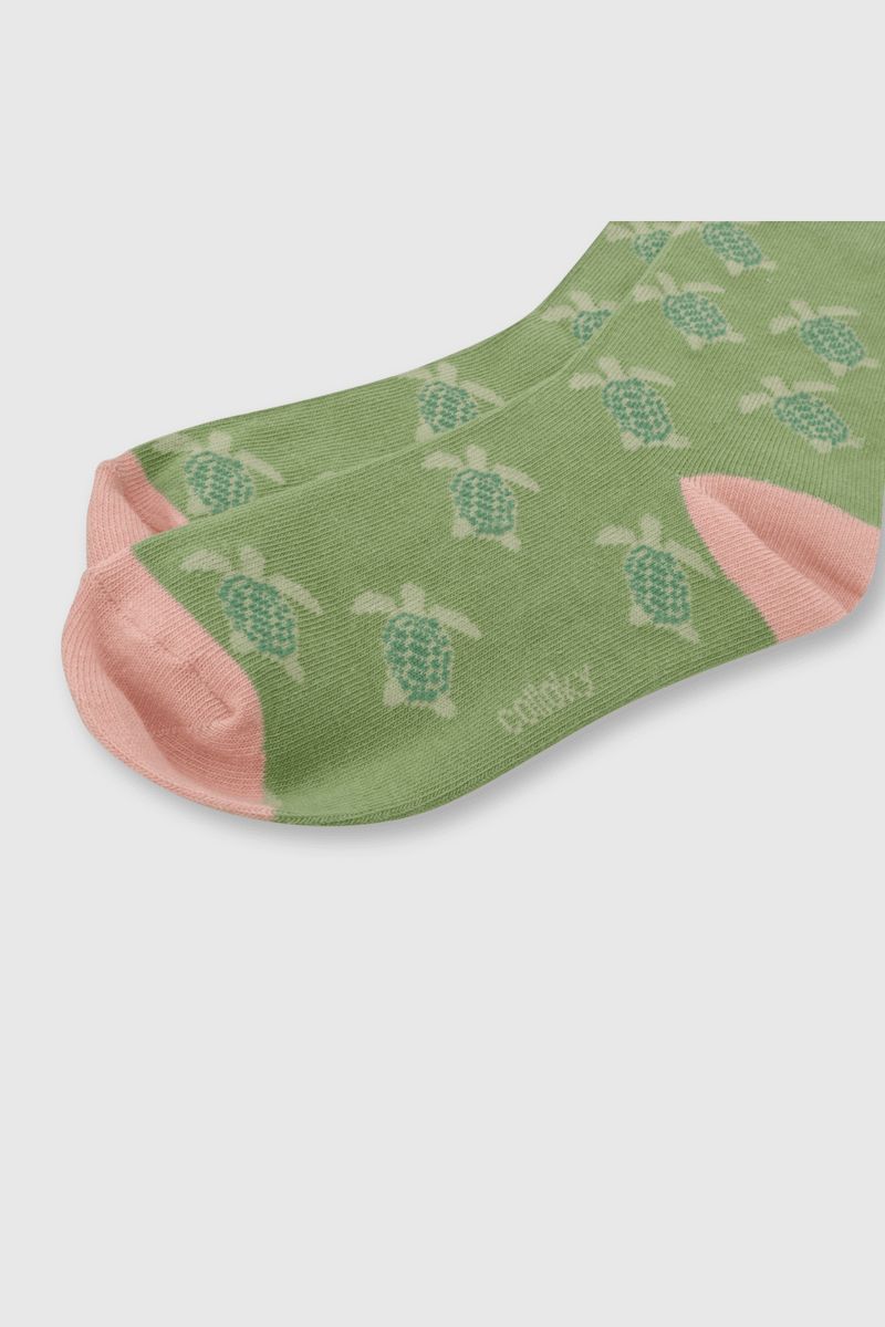 1ae997e1-3f10-4661-bedc-f9fc4182d8b6-c3pe2170v24-2