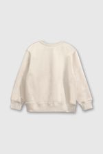 807ad2f5-4458-4a5a-b5ea-97b22118c1f5-plpo8266i24-2