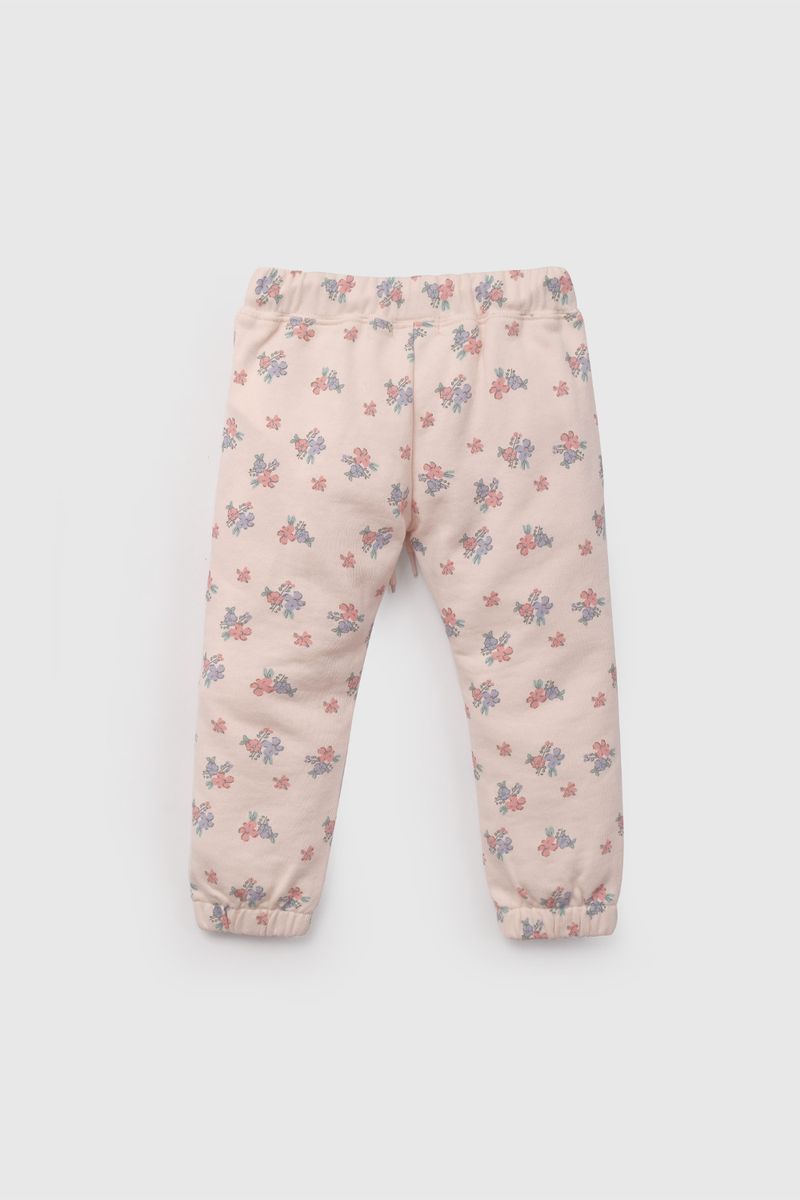 d789a3be-451a-4d6f-a6b2-2f91d1081c11-ptpo2243v26-2