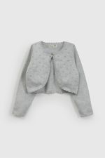 e7eaa676-071f-413b-900e-edb940971884-chla1006v26-1