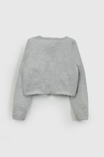 b321599d-8576-4a25-827e-a9246255448e-chla1006v26-2