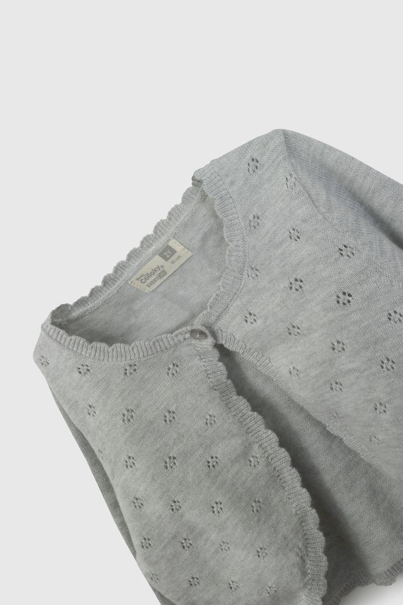 58a2de95-c566-4fb1-9b73-866539e9fa21-chla1006v26-3