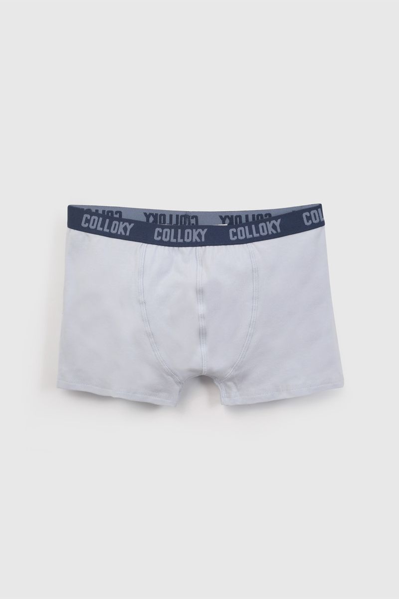 f0a96c22-04bc-40df-a3f2-f3bc6fab9bfc-bxsx5550v26-4