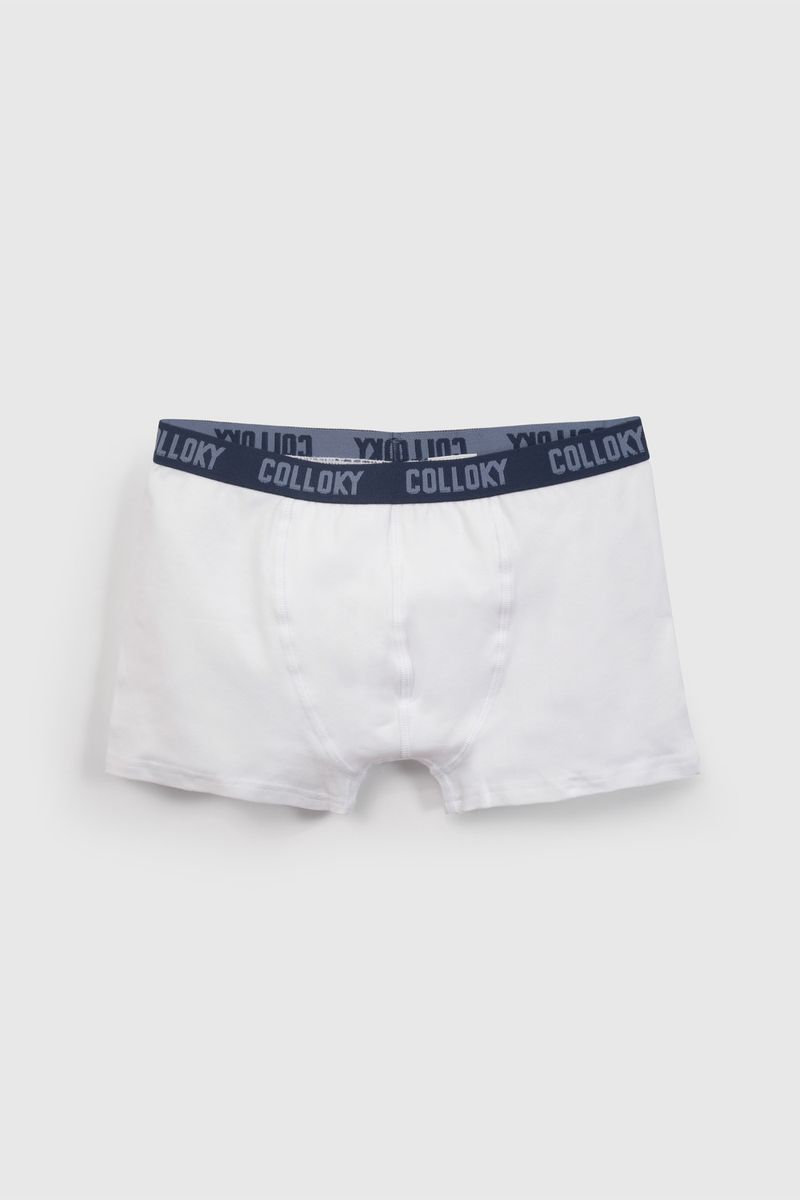 4c0a42c7-9681-4fb8-990b-bc61b2d44064-bxsx5550v26-5