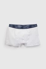 4c0a42c7-9681-4fb8-990b-bc61b2d44064-bxsx5550v26-5