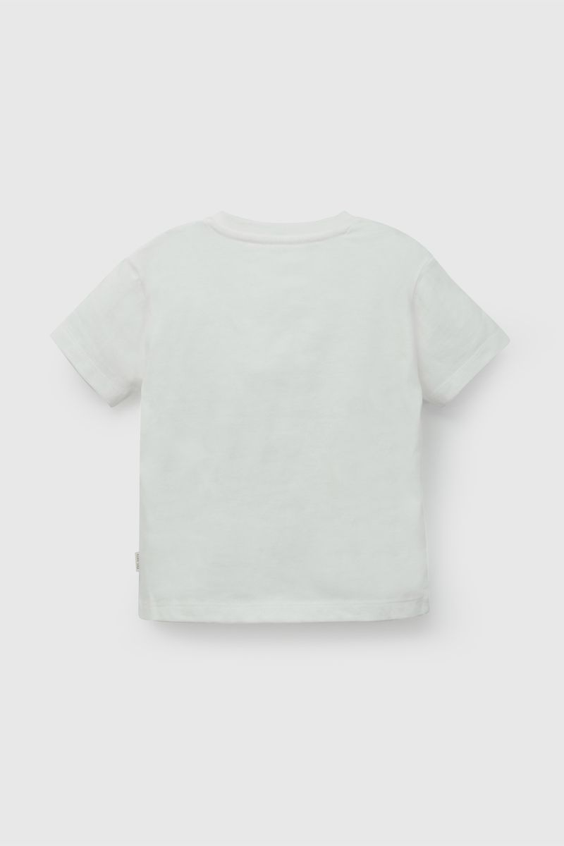 6b460a9a-38a2-4a88-92a3-1c486cc8feb9-poje9109v26-2