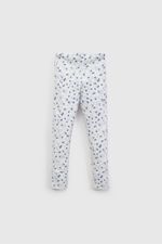 2876b2ec-4bf4-471d-84c0-2dd332b29978-papy0440v26-1