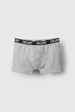 578b6082-eb39-4a74-95f0-e19a1c354106-bxsx0311v26-2