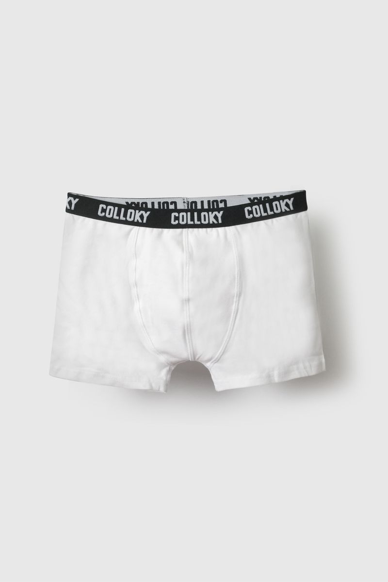 4c4741ec-9f63-4aec-b655-1ddeb2d25e86-bxsx0311v26-4