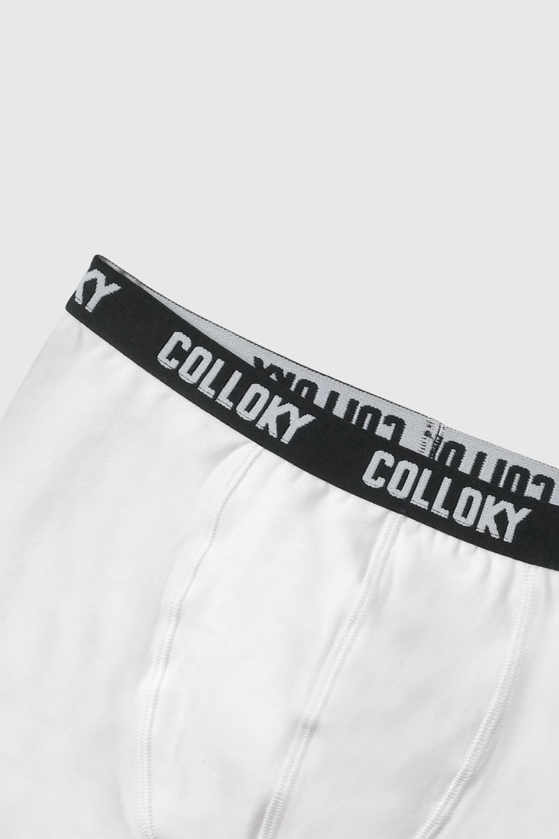 8b3a37cd-dcb1-46e7-9fe8-3202657c384c-bxsx0311v26-5