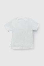 75a62870-3e84-437a-9891-ba127ccea903-p1je1309v26-2