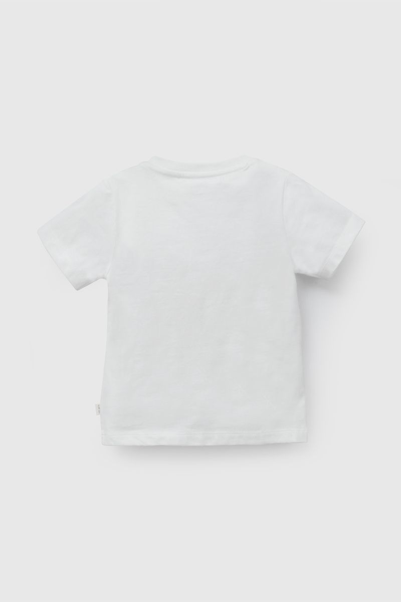 75a62870-3e84-437a-9891-ba127ccea903-p1je1309v26-2