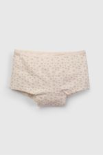 5c8d0d8f-331b-49d1-a3d7-fd6b2ca62e98-czsx0475v26-2