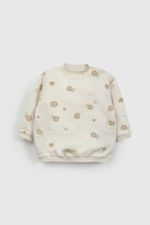 e6170f72-0a3e-47c2-9f07-2d53fe0e2ba3-oepo0175v26-2