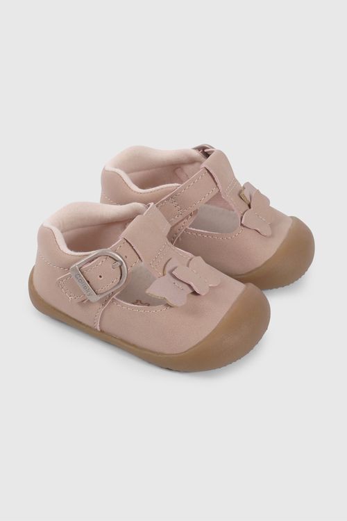 Reina Rosada Aplicación Mariposas De Gateador