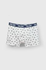 ed262ff8-7b8a-4c3b-bd5c-2f0bee937ba8-bxsx1740i25-3