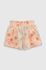 4d2d0668-ee18-4d61-9e27-7b4fb1780cd7-shpo0231v25-2