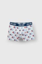 0589f515-e780-4e6c-9710-7c145b62d75b-bxsx1550i25-4