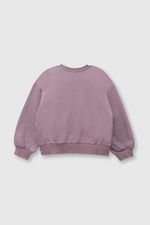 0be6a8e0-329b-4d81-85ec-5eba195f24c7-plpo1087v24-2