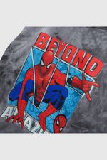 643b3892-3877-438e-abd2-a655979f2477-plpo1311i24-3