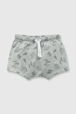 3fe669e4-5bc9-495d-ba74-ca654d658bc7-af5b349c-dbb2-47e5-a5ef-c9555cc6b4bc-cojeu110v24-3